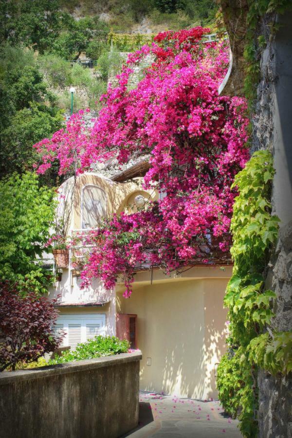 Positano Holidays Εξωτερικό φωτογραφία