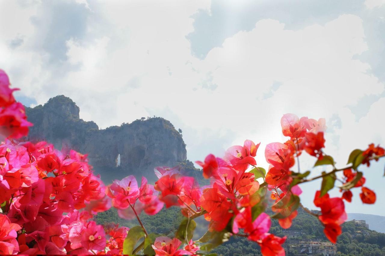 Positano Holidays Εξωτερικό φωτογραφία